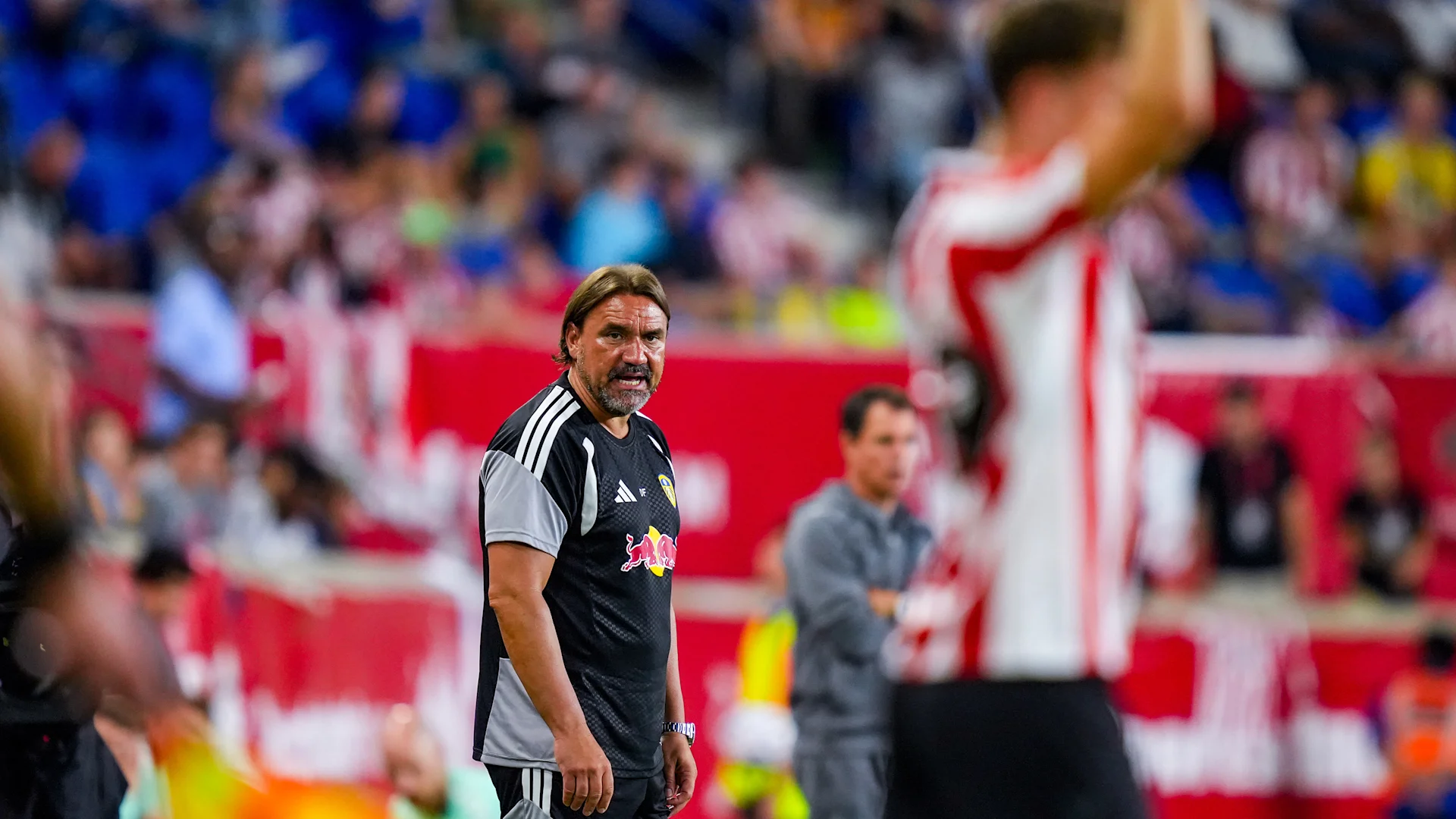 Artikkelbilde til artikkelen Farke godt fornøyd etter Sunderlandkampen!